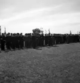 Kamratmötet, I 11. Äldre herrar i kostym och hatt med kompanifanor m.m., står
uppställda på övningsfältet.