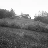 Falun, Kårarvet, Västanbäck 1926.