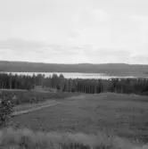 Falun, Korsarvet, St Vällan, kösare 1926.