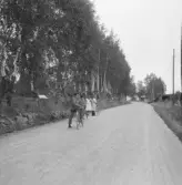 Falun, Vika, Hosjö, Karlsfors 1926.
