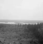 Falun, Vika, Hosjö, Ryggen 1926.