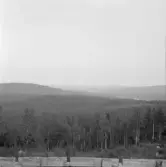 Falun, Vika, Hosjö, Ryggen 1926.