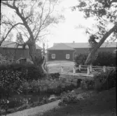 Falun, Vika, Hosjö 1926.