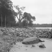 Falun, Vika, Hosjö 1926.