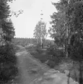 Falun, Vika, Hosjö, Lilla dammen 1926.