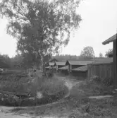 Falun, Vika, Hosjö, Näs 1926.