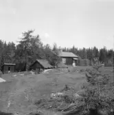 Falun, Vika, Hosjö, Lövet 1926.