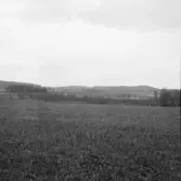 Falun, Vika, Hosjö 1926.