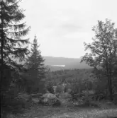 Falun, Källslättens gård och trädgård. Spjutsjön från Källslätten 1926.