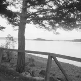 Falun, Norslund, Korsnäs, med sjön Runn 1926.
