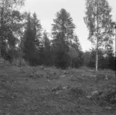 Falun, Mörtsjöbo, Vällgården 1926.