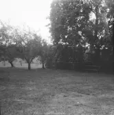 Falun, Mörtsjöbo, Vällgården 1926.