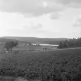 Falun, Kårarvet, Önsbacksdammen 1926.
