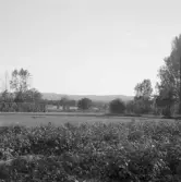 Falun, Kårarvet, dammen 1926.