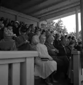 Medborgartåget, 16/6 1940. 
Vy över läktaren, Värendsvallen, med hedersgäster och publik.
I första raden ses bl a finansminister Ernst Wigforss (?), m.fl.