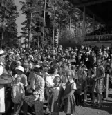 Medborgartåget, 16/6 1940. 
Vy över läktare och publik på Värendsvallen. Till vänster skymtar en
lotta som säljer choklad m.m.