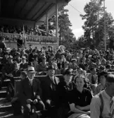 Medborgartåget, 16/6 1940. 
Vy över läktare och publik på Värendsvallen. I bakgrunden skymtar en
del av I 11:s regementsmusikkår.