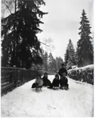 Mälarhöjden, barn på kälkar