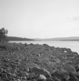 Falun, Runn, fr. Hjärtklack, Hellmansö t.v 1926.