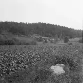 Falun, Källslätten 1926.