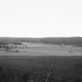Falun, Slätta. Dalen vid nedre Varggården 1926.