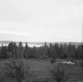 Falun, Tomsarvet, Gassarvet, Stussarvet, Berg, Varpan 1926.