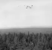 Falun, Tomsarvet, Gassarvet, Stussarvet, Berg. Västeråns Bergslag 1926.