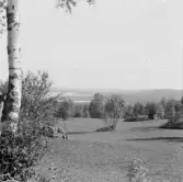 Falun, Tomsarvet, Gassarvet, Stussarvet, Berg. Västeråns Bergslag 1926.