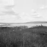 Falun, öster om Varpan 1926.