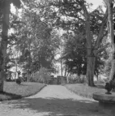 Falun, öster om Varpan 1926.