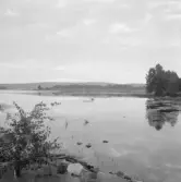 Falun, väster och öster om Varpan.