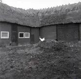 Ekonomibyggnad med stråtak och takryttare i Himmelsberga radby.