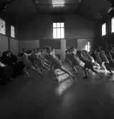Avslutning vid Grimslövs folkhögskola.
Uppvisning av kvinnliga gymnaster i gymnastiksalen.