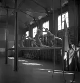 Avslutning vid Grimslövs folkhögskola.
Uppvisning av kvinnliga gymnaster i gymnastiksalen.