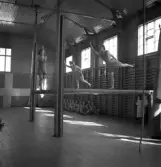 Avslutning vid Grimslövs folkhögskola.
Uppvisning av kvinnliga gymnaster i gymnastiksalen.