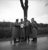 Hemvärnet. 20/4, 1941.
Några officerare i hemvärnet diskuterar något, på en 
regnblöt landsväg.