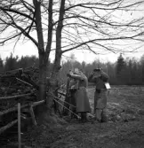 Hemvärnet. 20/4, 1941.
Några hemvärnssoldater i olika åldrar, diskuterar något 
vid en vedhög och en gärdesgård.