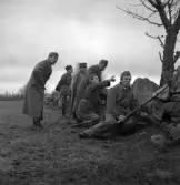Hemvärnet. 20/4, 1941.
Några hemvärnssoldater har tagit skydd bakom en stengärdesgård, 
i väntan på något.