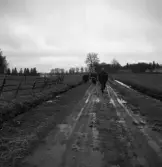 Hemvärnet. 20/4, 1941.
Språngmarsch längs en regnblöt och lerig grusväg.
I bakgrunden syns några hus (trol. arrendatorsbyggnaderna/flyglarna
på Teleborgs slott).