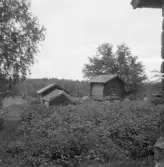 Falun, Heden, Backa.