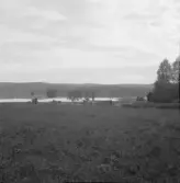 Falun, Heden, Backa.