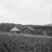 Falun, Heden, Backa.