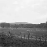 Falun, Heden, Backa.