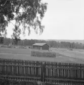 Falun, Heden, Backa.