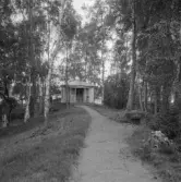 Falun, Heden, Backa. Lusthus vid Heden. Varpan i bakgrunden mellan träden.