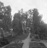 Falun, Heden, Backa.