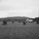 Falun, Omkring Grycksbo. Finnsveden och Svarttjärnsberget.