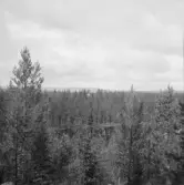 Falun, Omkring Grycksbo.