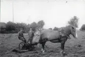 Limöns siste arrendator, Carl Eriksson, som sitter på en höräfsa med häst samt två personer stående bredvid honom, 1929.
