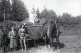 Full höskrinda, med Carl Eriksson och Alfhild till vänster samt en kvinna som håller i tömmar och två barn uppe i höskrindan, 1929.